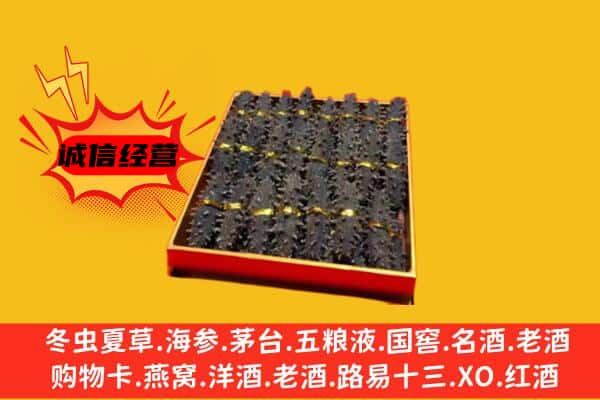 娄底市双峰回收海参